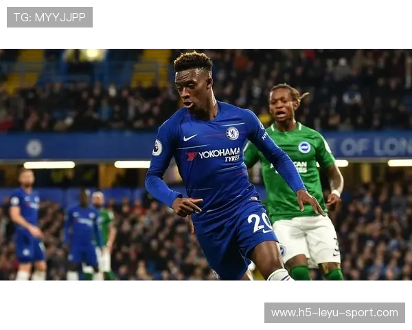 哥伦比亚俱乐部开启全球招募新篇章,系统铺设未来足球之路